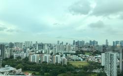 Soleil @ Sinaran (D11), Condominium #143922632